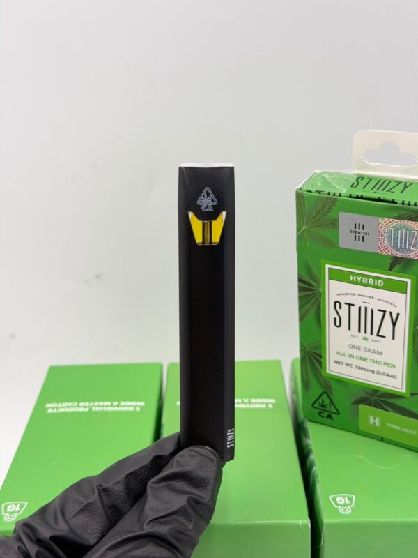 Kaufen Stizzy 1g Disposable
